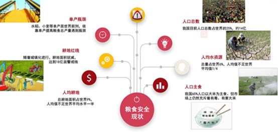 为什么研究和推广旱稻