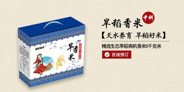 旱稻香米