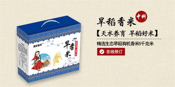 旱稻香米