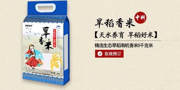 旱稻香米